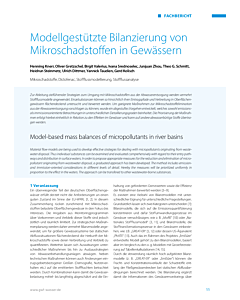 Modellgestützte Bilanzierung von Mikroschadstoffen in Gewässern