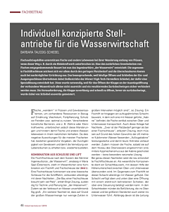Individuell konzipierte Stellantriebe für die Wasserwirtschaft