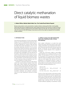 Direct catalytic methanation of liquid biomass wastes