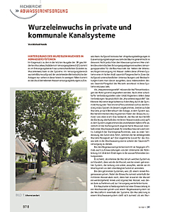 Wurzeleinwuchs in private und kommunale Kanalsysteme