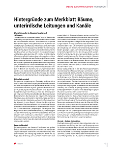 Hintergründe zum Merkblatt Bäume, unterirdische Leitungen und Kanäle