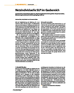 Netzindividuelle SLP im Gasbereich