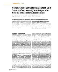 Verfahren zur Schwefelwasserstoff- und Sauerstoffentfernung aus Biogas mithilfe eisenbasierter Adsorbentien