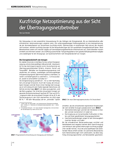 Kurzfristige Netzoptimierung aus der Sicht der Übertragungsnetzbetreiber