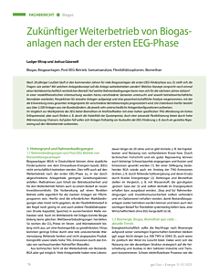 Zukünftiger Weiterbetrieb von Biogasanlagen nach der ersten EEG-Phase