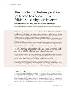 Thermochemische Rekuperation im Biogas-basierten BHKW – Effizienz und Abgasemissionen