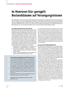 In Hannover klar geregelt: Bestandsbäume auf Versorgungstrassen