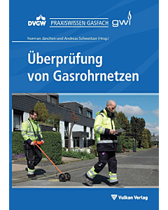 Überprüfung von Gasrohrnetzen