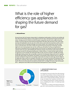 What is the role of higher efficiency gas appliances in shaping the future demand for gas?