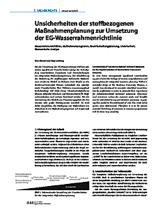 Unsicherheiten der stoffbezogenen Maßnahmenplanung zur Umsetzung der EG-Wasserrahmenrichtlinie