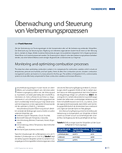 Überwachung und Steuerung von Verbrennungsprozessen