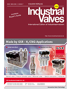 Industrial Valves 2009