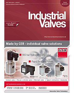 Industrial Valves 2010