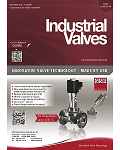 Industrial Valves 2013