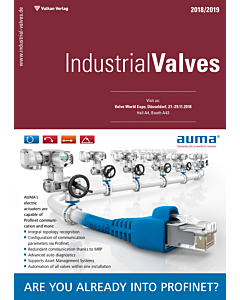 Industrial Valves 2018/2019