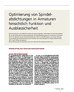 Optimierung von Spindelabdichtungen in Armaturen hinsichtlich Funktion und Ausblassicherheit