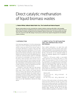Direct catalytic methanation of liquid biomass wastes