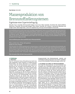 Massenproduktion von Brennstoffzellensystemen