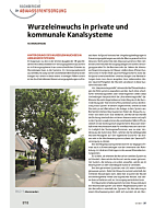 Wurzeleinwuchs in private und kommunale Kanalsysteme