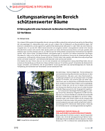 Leitungssanierung im Bereich schützenswerter Bäume