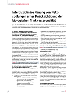 Interdisziplinäre Planung von Netzspülungen unter Berücksichtigung der biologischen Trinkwasserqualität