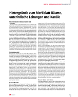 Hintergründe zum Merkblatt Bäume, unterirdische Leitungen und Kanäle