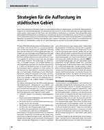 Strategien für die Aufforstung im städtischen Gebiet