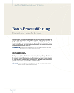 Batch-Prozessführung