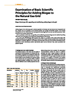 Examination of Basic Scientific Principles for Adding Biogas to the Natural Gas Grid - DVGW-R& Study