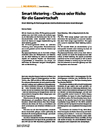 Smart Metering - Chance oder Risiko für die Gaswirtschaft