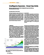 Intelligente Gasnetze - Smart Gas Grids