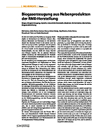 Biogaserzeugung aus Nebenprodukten der RME-Herstellung