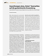 Auswirkungen eines „freien“ Gasmarktes auf die gastechnische Anwendung