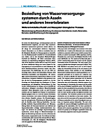 Besiedlung von Wasserversorgungssystemen durch Asseln und anderen Invertebraten