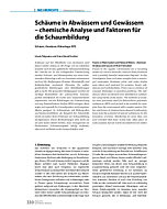 Schäume in Abwässern und Gewässern – chemische Analyse und Faktoren für die Schaumbildung