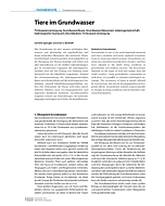 Tiere im Grundwasser