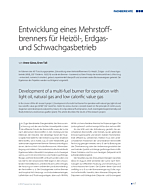 Entwicklung eines Mehrstoffbrenners für Heizöl-, Erdgas- und Schwachgasbetrieb