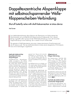Doppeltexzentrische Absperrklappe mit selbstnachspannender Welle-Klappenscheiben-Verbindung