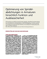 Optimierung von Spindelabdichtungen in Armaturen hinsichtlich Funktion und Ausblassicherheit