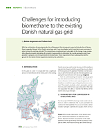 Challenges for introducing biomethane to the existing Danish natural gas grid