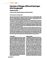 Injection of biogas, SNG and hydrogen into the gas grid