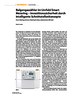 Balgengaszähler im Umfeld Smart Metering - Investitionssicherheit durch intelligente Schnittstellenkonzepte