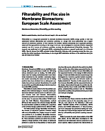 Filterability and Floc size in ­Membrane Bioreactors: European Scale Assessment