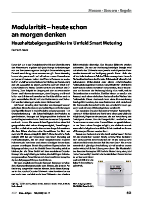 Modularität - heute schon an morgen denken, Haushaltsbalgengaszähler im Umfeld Smart Metering