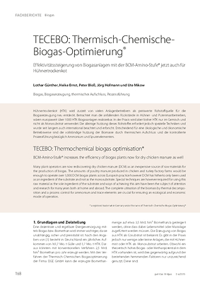 TECEBO: Thermisch-Chemische-Biogas-Optimierung®