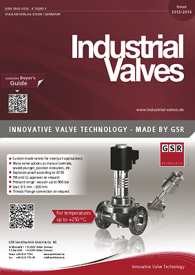 Industrial Valves 2013